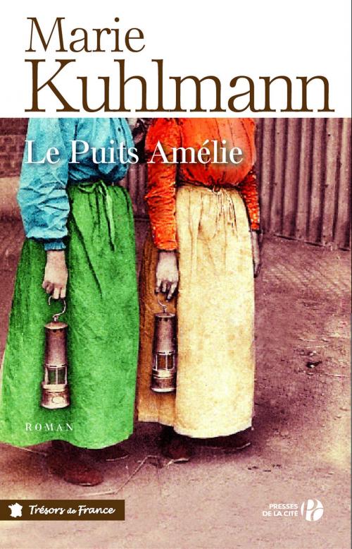 Cover of the book Le puits Amélie by Marie KUHLMANN, Place des éditeurs