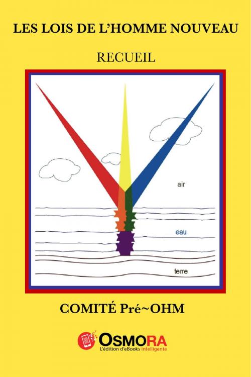 Cover of the book Les lois de l'Homme nouveau by Comité Pré~OHM Inc., Osmora Inc.