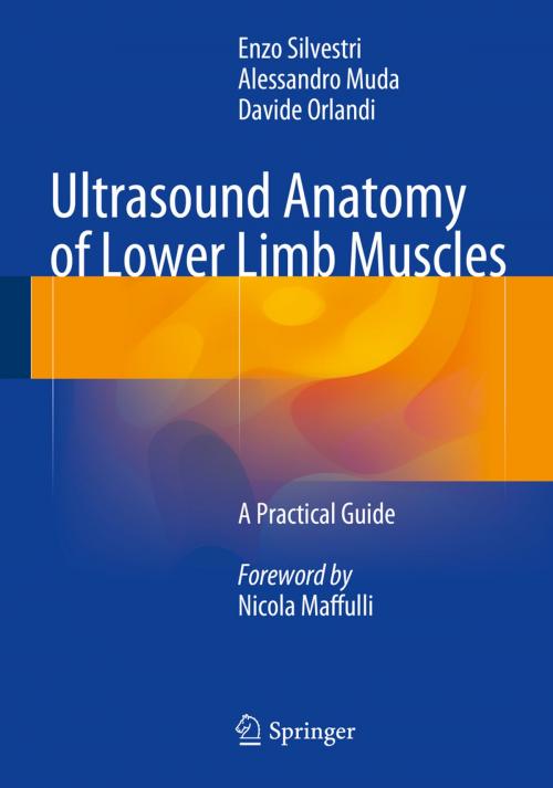 Cover of the book Ultrasound Anatomy of Lower Limb Muscles by Enzo Silvestri, Alessandro Muda, Davide Orlandi, Springer International Publishing
