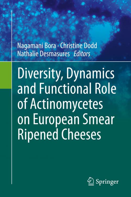 Cover of the book Diversity, Dynamics and Functional Role of Actinomycetes on European Smear Ripened Cheeses by , Springer International Publishing