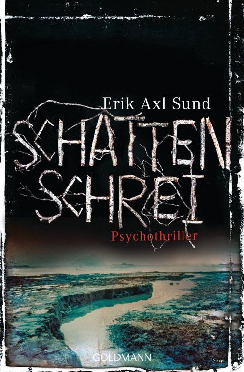 Cover of the book Schattenschrei by Erik Axl Sund, Goldmann Verlag