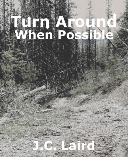 Cover of the book Turn Around When Possible by J. C. Laird, BookRix