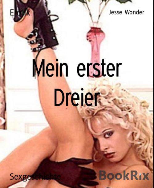 Cover of the book Mein erster Dreier by Jesse Wonder, BookRix