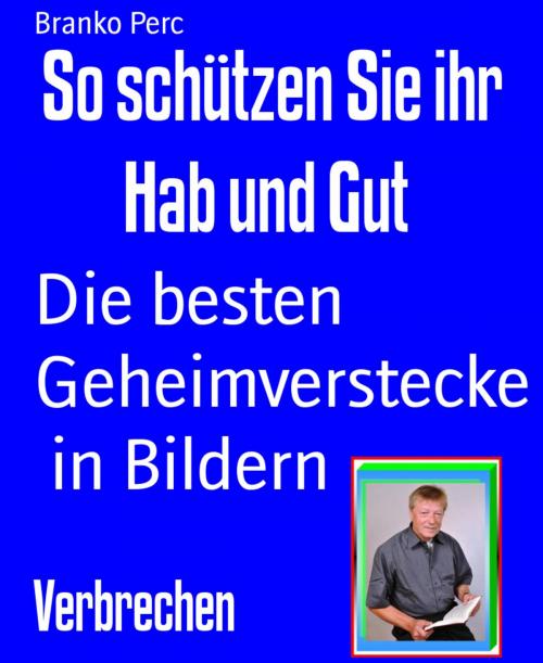 Cover of the book So schützen Sie ihr Hab und Gut by Branko Perc, BookRix