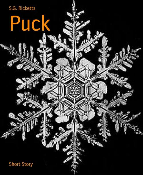 Cover of the book Puck by S.G. Ricketts, BookRix