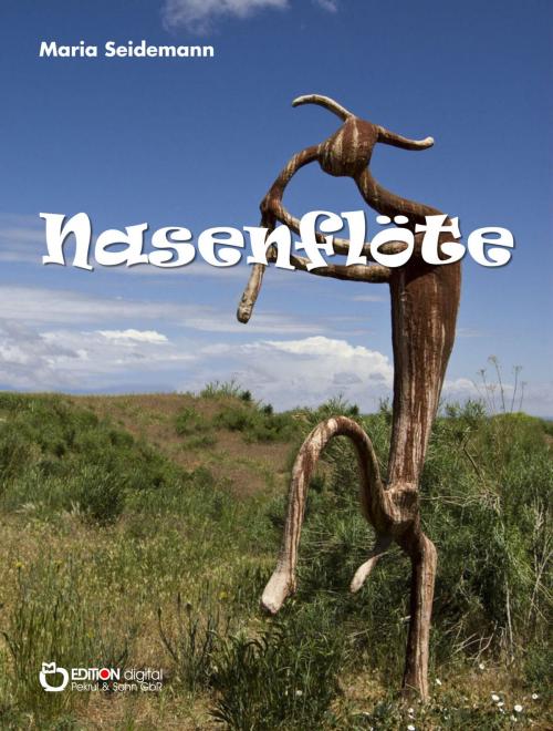Cover of the book Nasenflöte by Maria Seidemann, EDITION digital