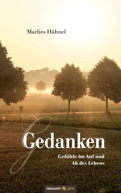 Cover of the book Gedanken by Marlies Hähnel, novum pro Verlag