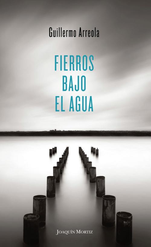 Cover of the book Fierros bajo el agua by Guillermo Arreola, Grupo Planeta - México