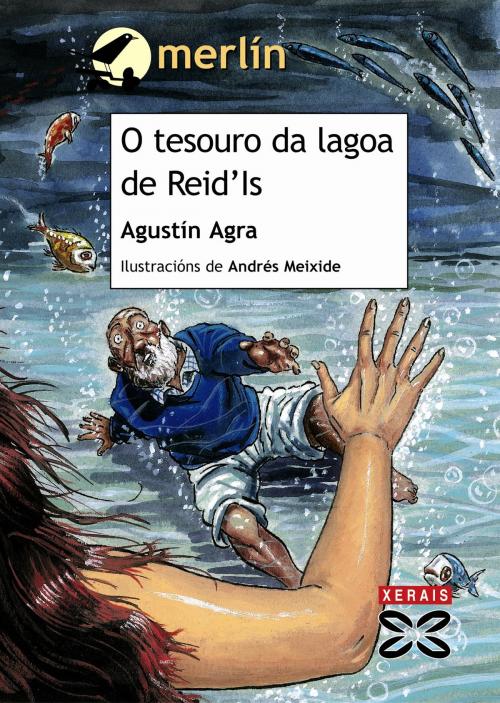 Cover of the book O tesouro da lagoa de Reid'Is by Agustín Agra, Edicións Xerais