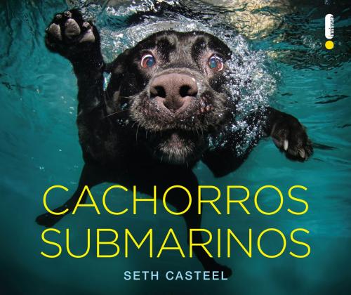 Cover of the book Cachorros submarinos by Seth Casteel, Intrínseca