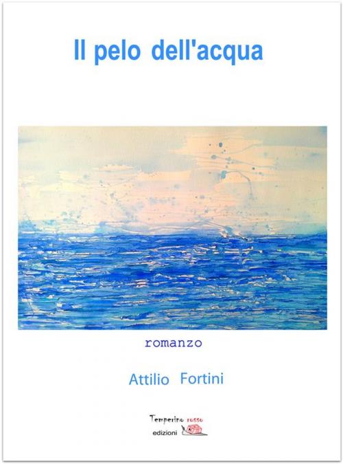 Cover of the book Il pelo dell'acqua by Attilio Fortini, Temperino rosso edizioni