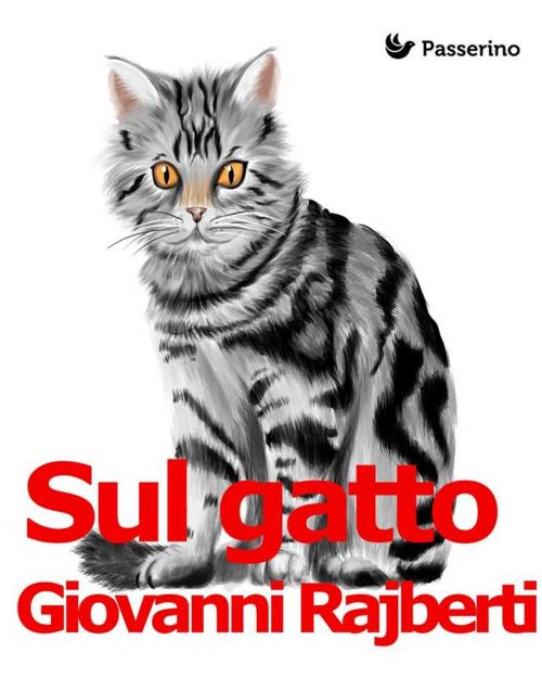 Cover of the book Sul gatto by Giovanni Rajberti, Passerino
