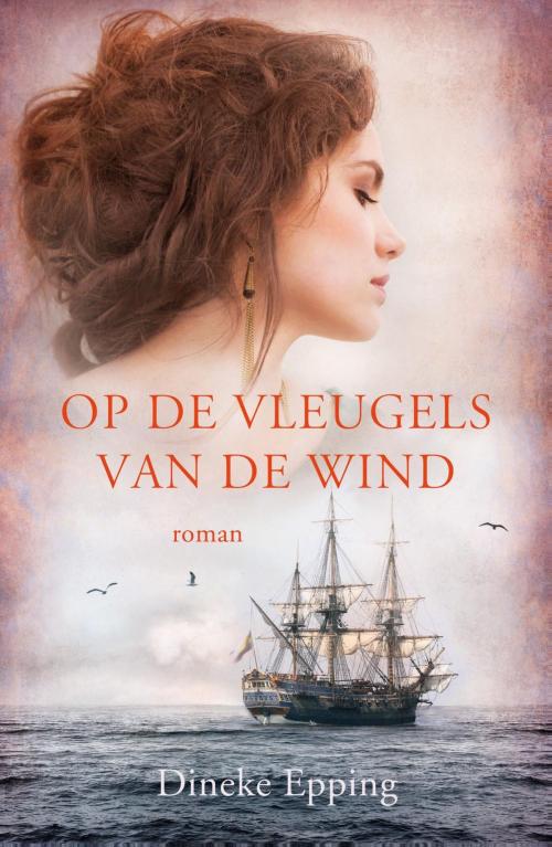 Cover of the book Op de vleugels van de wind by Dineke Epping, VBK Media