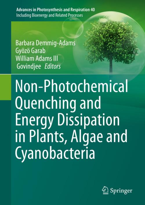 Cover of the book Non-Photochemical Quenching and Energy Dissipation in Plants, Algae and Cyanobacteria by , Springer Netherlands