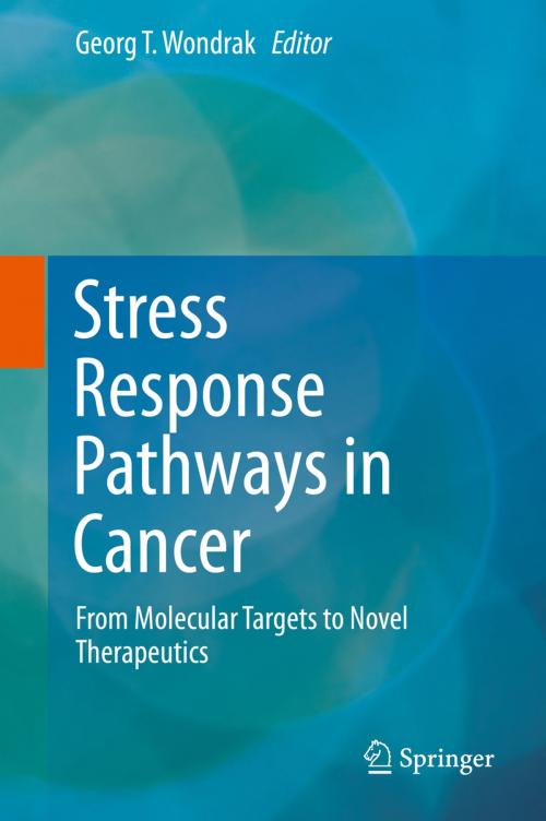 Cover of the book Stress Response Pathways in Cancer by , Springer Netherlands