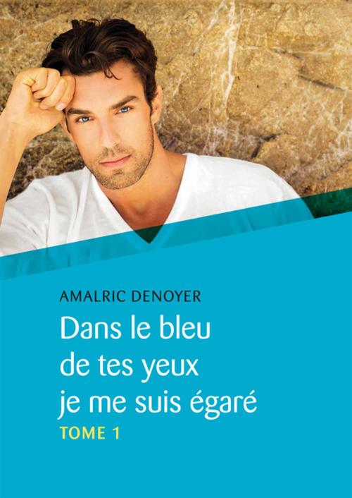 Cover of the book Dans le bleu de tes yeux je me suis égaré, Tome 1 by Amalric Denoyer, Éditions Textes Gais