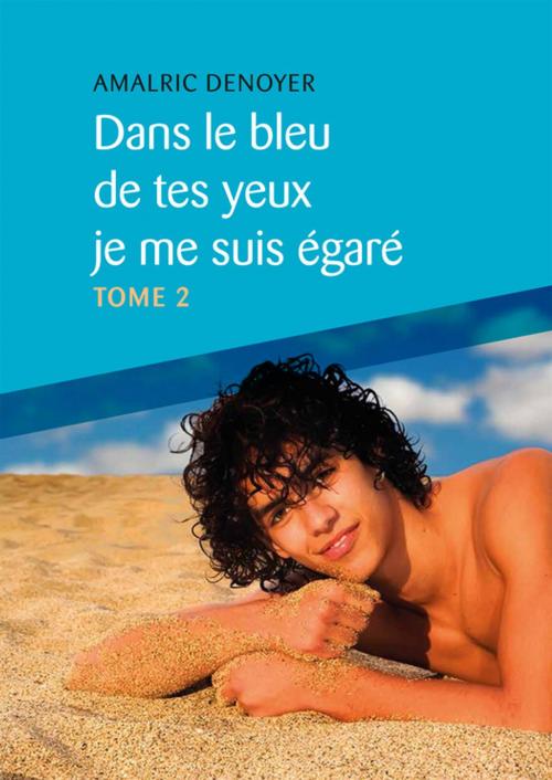Cover of the book Dans le bleu de tes yeux je me suis égaré, Tome 2 by Amalric Denoyer, Éditions Textes Gais