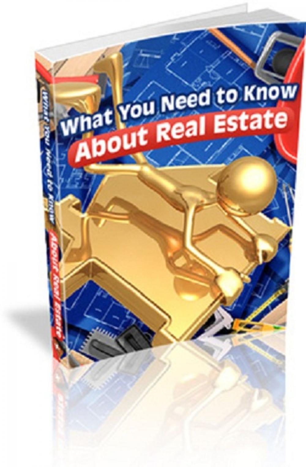 Big bigCover of What You Need to Know About Real Estate