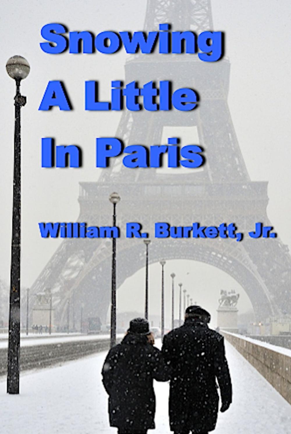 Big bigCover of Snowing A Little in Paris And Other Cold War Stories