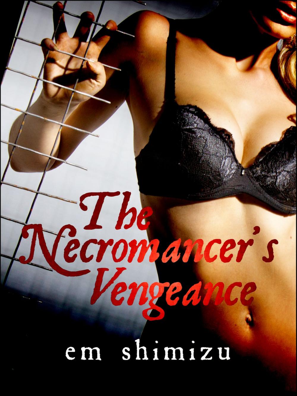 Big bigCover of The Necromancer's Vengeance: an erotic dark fantasy short