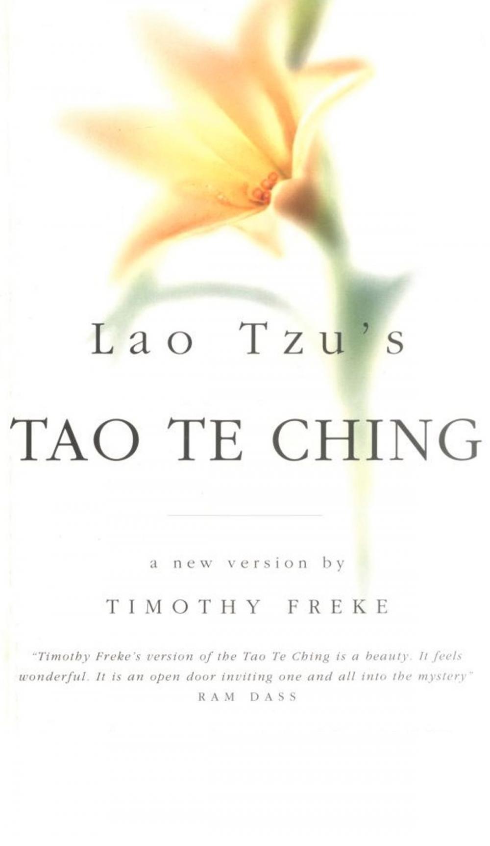 Big bigCover of The Tao Te Ching