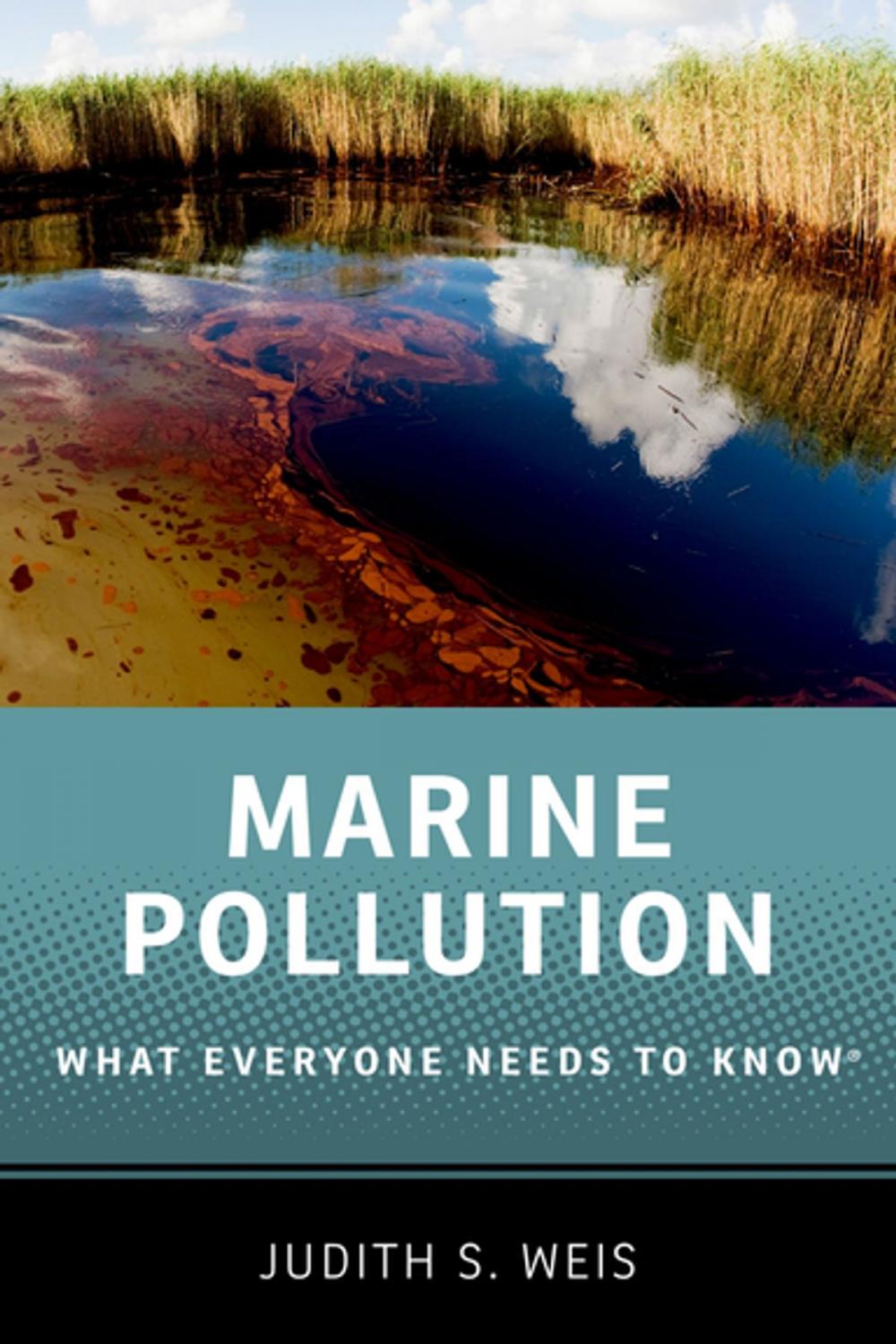 Big bigCover of Marine Pollution