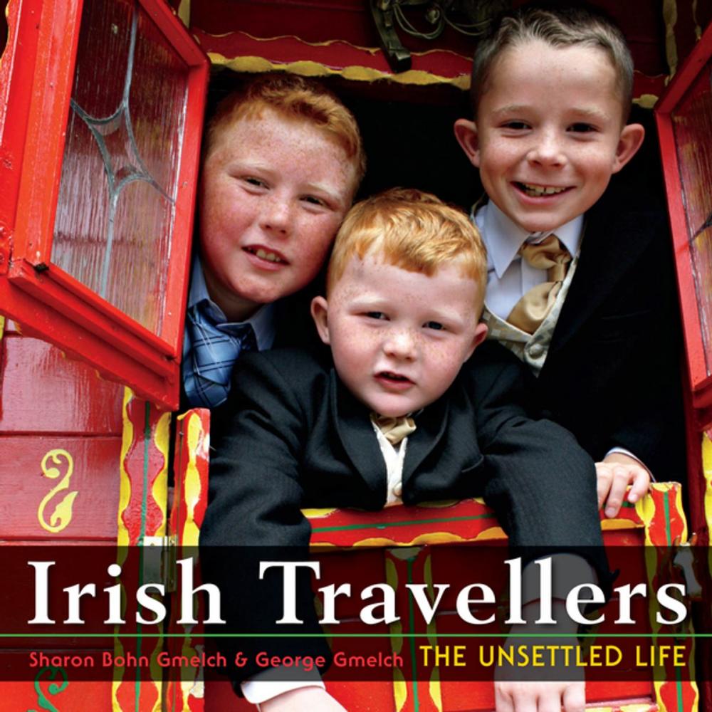 Big bigCover of Irish Travellers