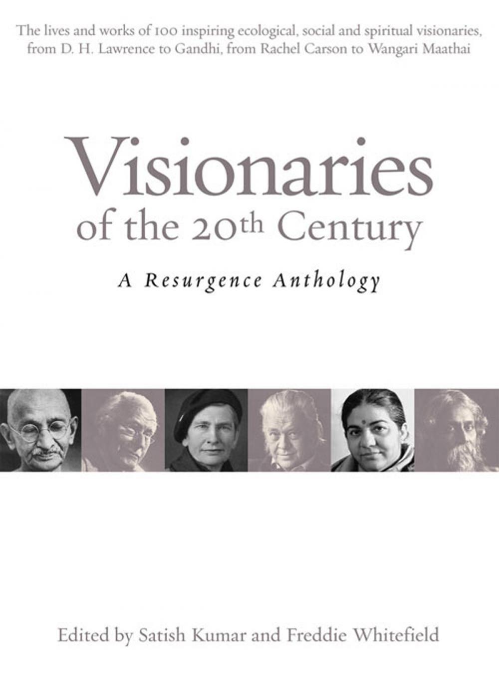 Big bigCover of Visionaries of the 20th Century