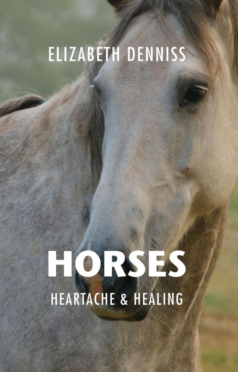 Big bigCover of Horses, Heartache & Healing