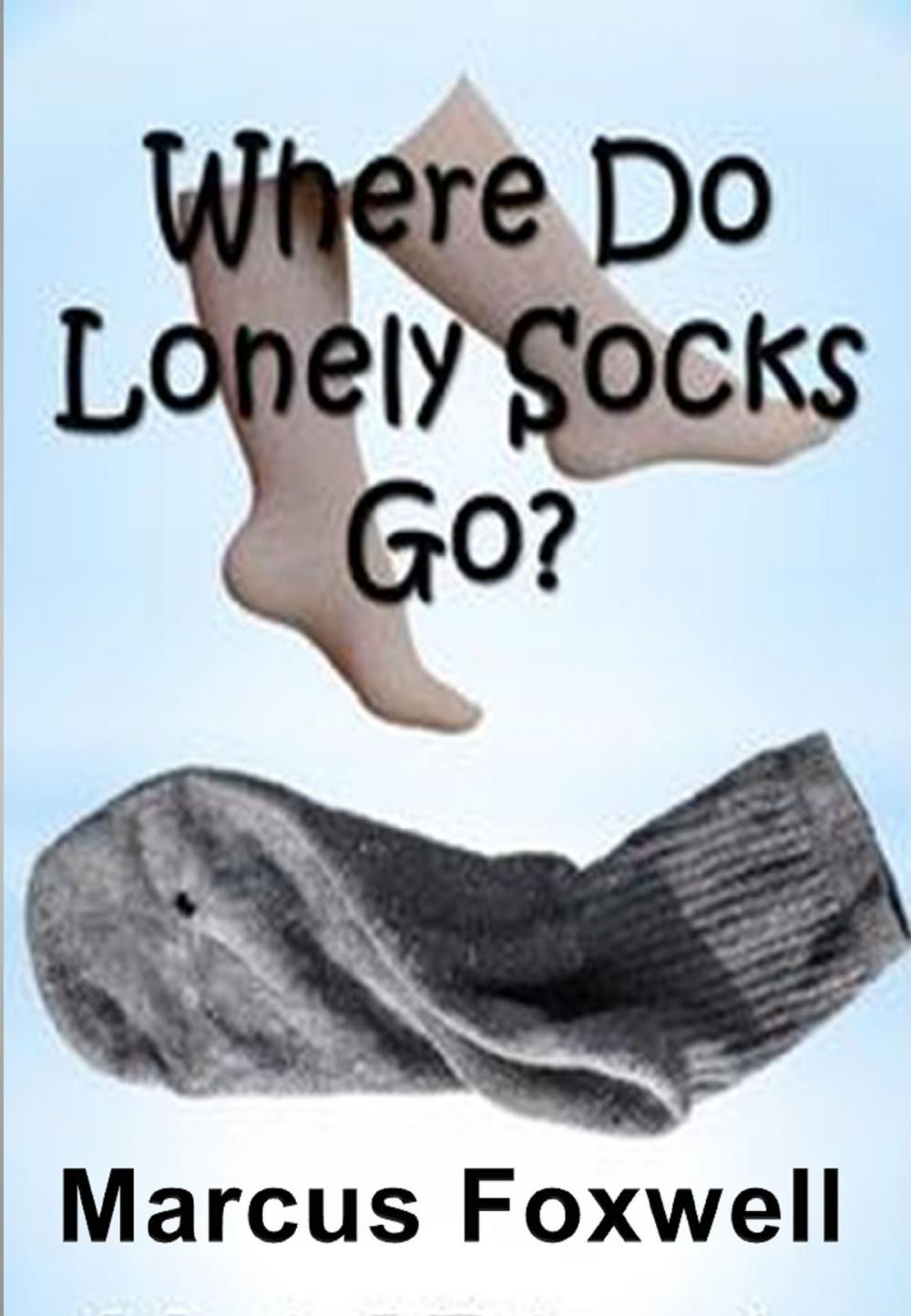 Big bigCover of Where Do Lonely Socks Go?