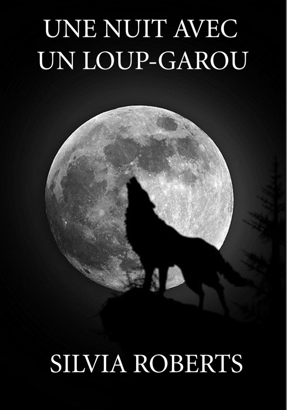 Big bigCover of Une nuit avec un Loup-Garou