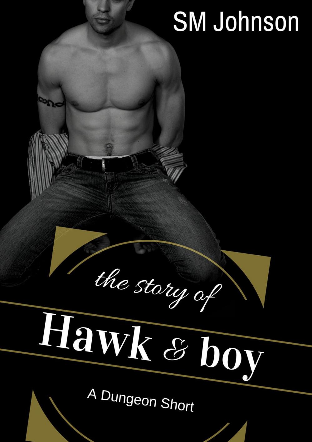 Big bigCover of The Story of Hawk and Boy