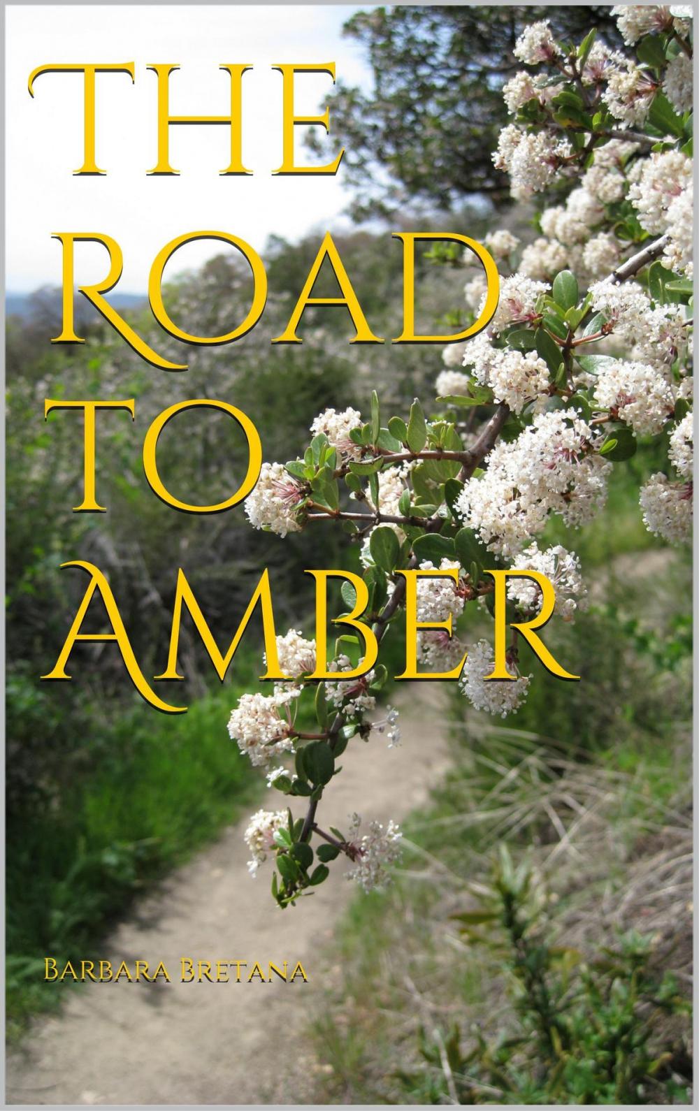 Big bigCover of The Road to Amber