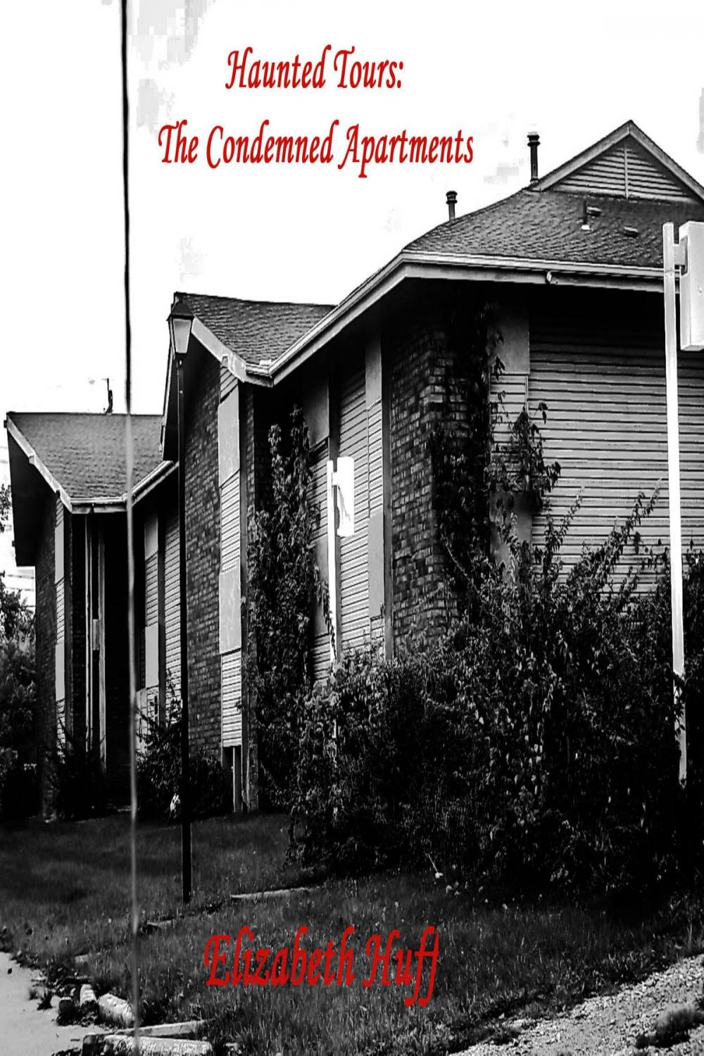 Big bigCover of Haunted Tours: The Condemned Apartments