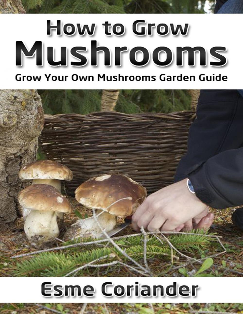 Big bigCover of How to Grow Mushrooms: Grow Your Own Mushrooms Garden Guide