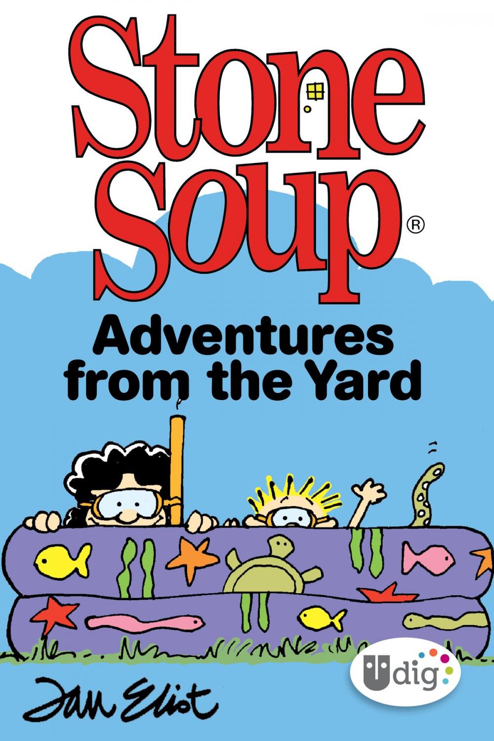 Big bigCover of Stone Soup: Adventures from the Yard