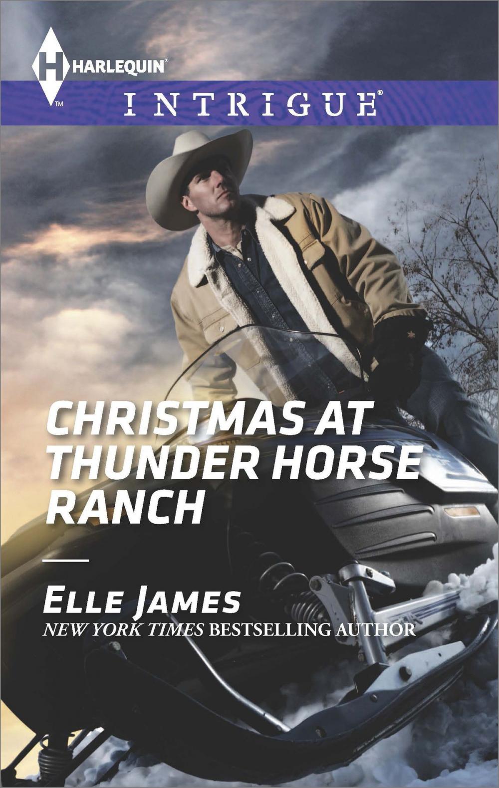 Big bigCover of Christmas at Thunder Horse Ranch