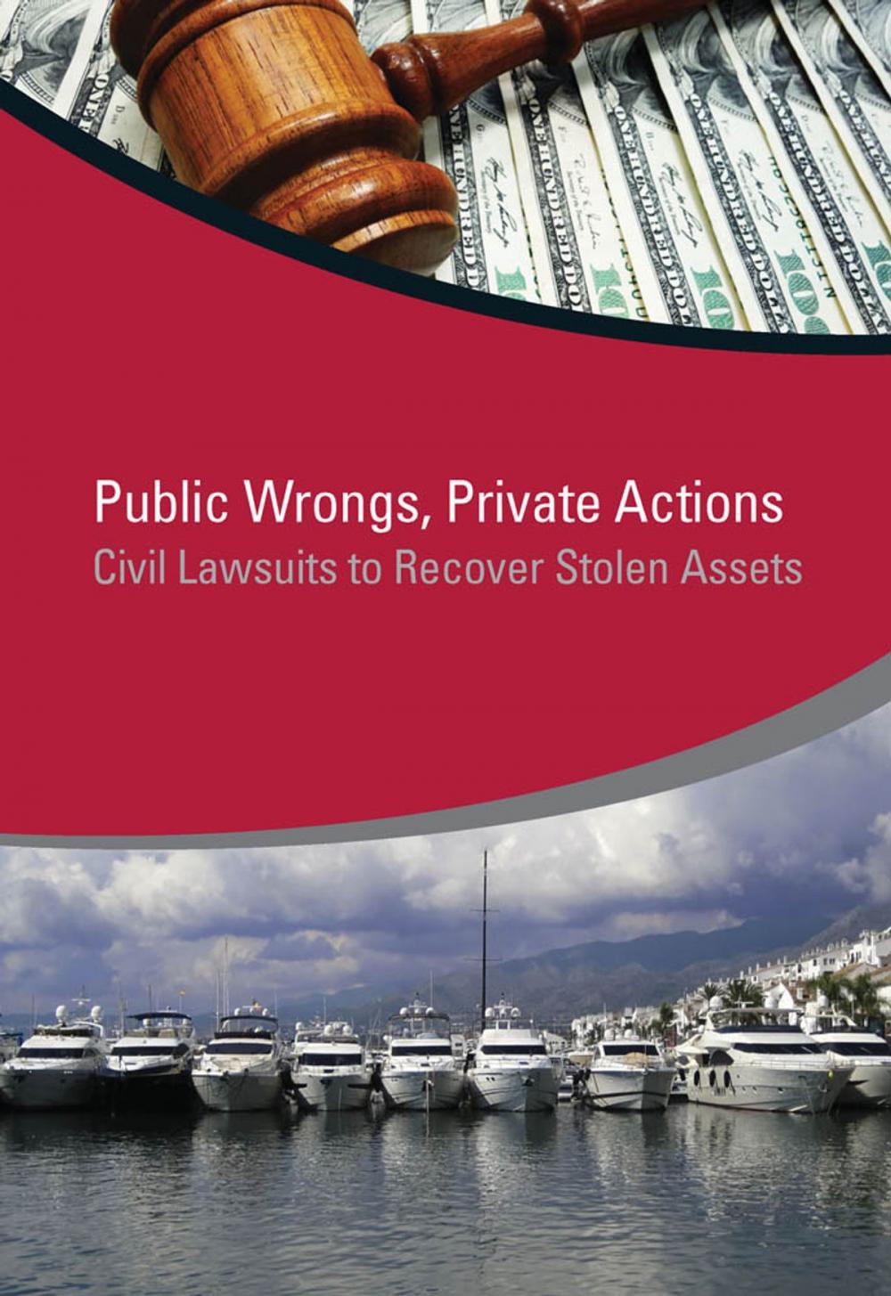 Big bigCover of Public Wrongs, Private Actions