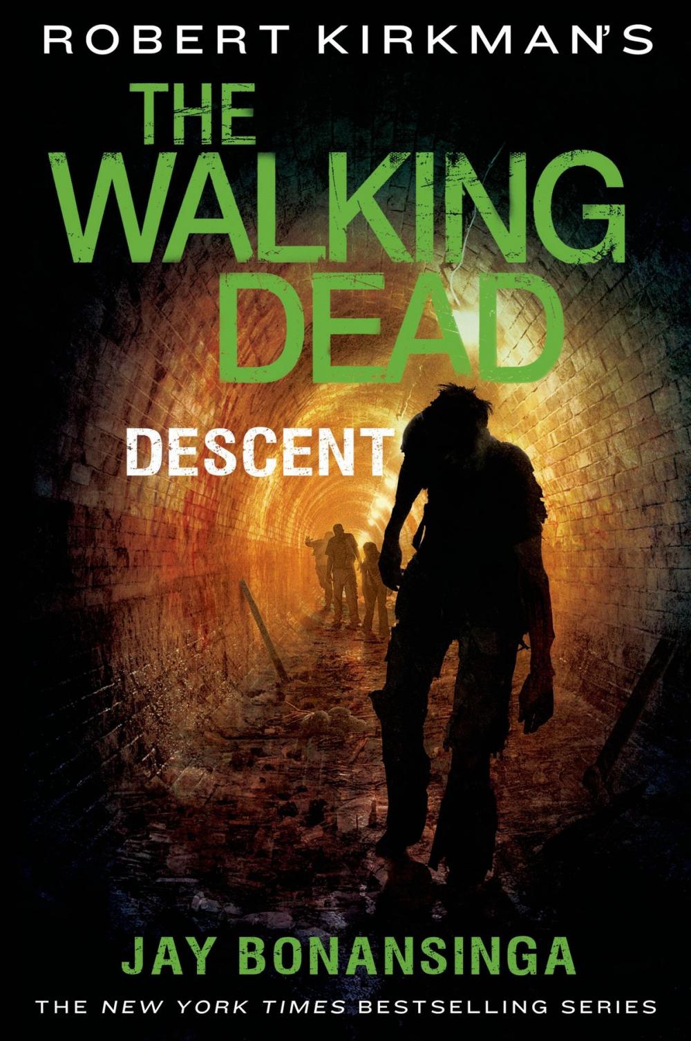 Big bigCover of Robert Kirkman's The Walking Dead: Descent