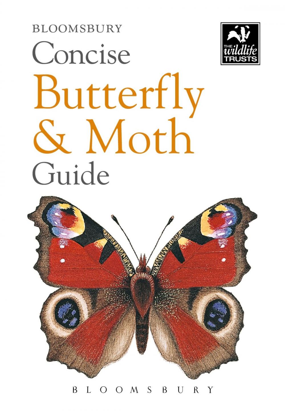Big bigCover of Concise Butterfly and Moth Guide