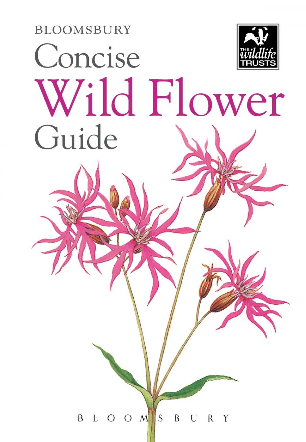 Big bigCover of Concise Wild Flower Guide