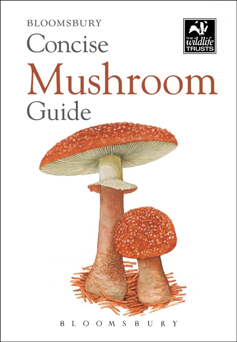 Big bigCover of Concise Mushroom Guide
