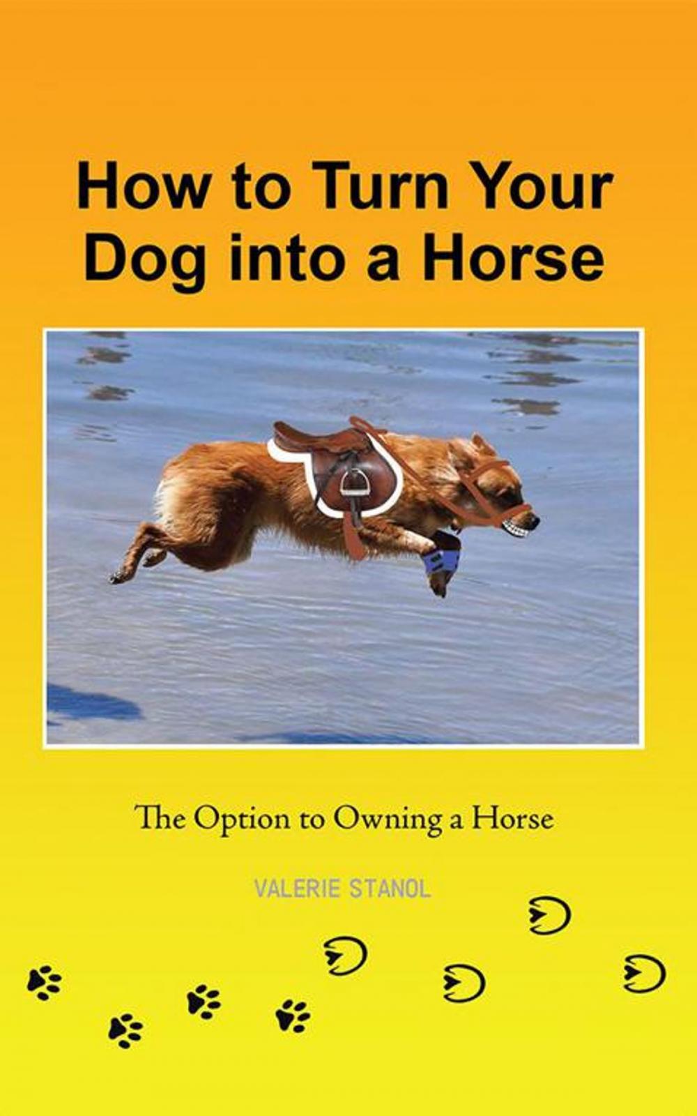 Big bigCover of How to Turn Your Dog into a Horse