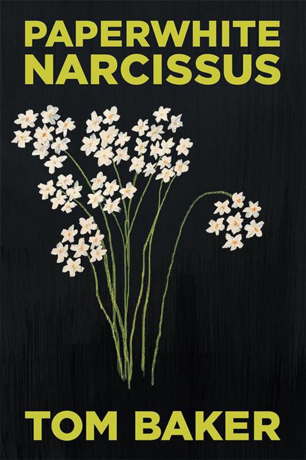 Big bigCover of Paperwhite Narcissus