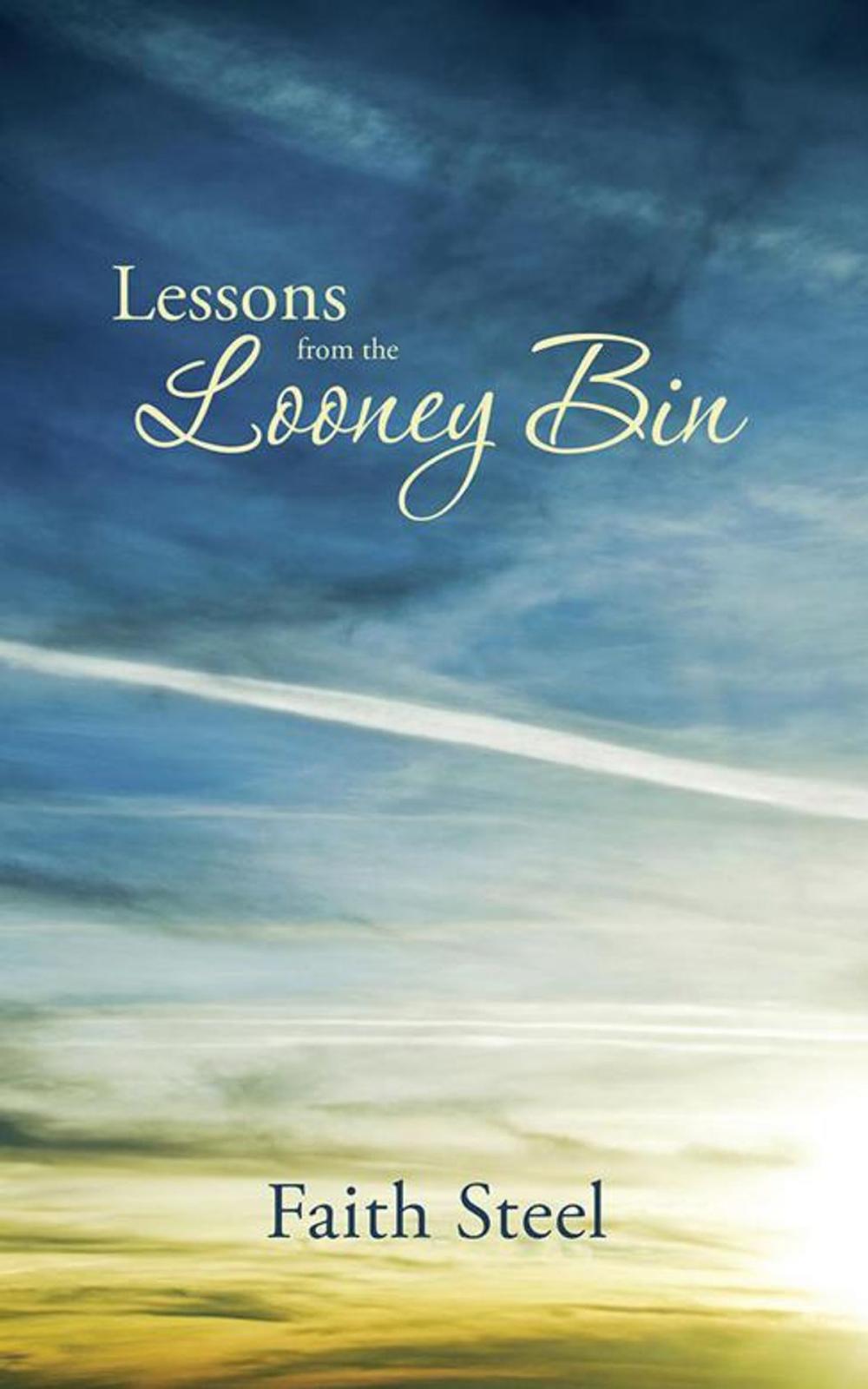 Big bigCover of Lessons from the Looney Bin