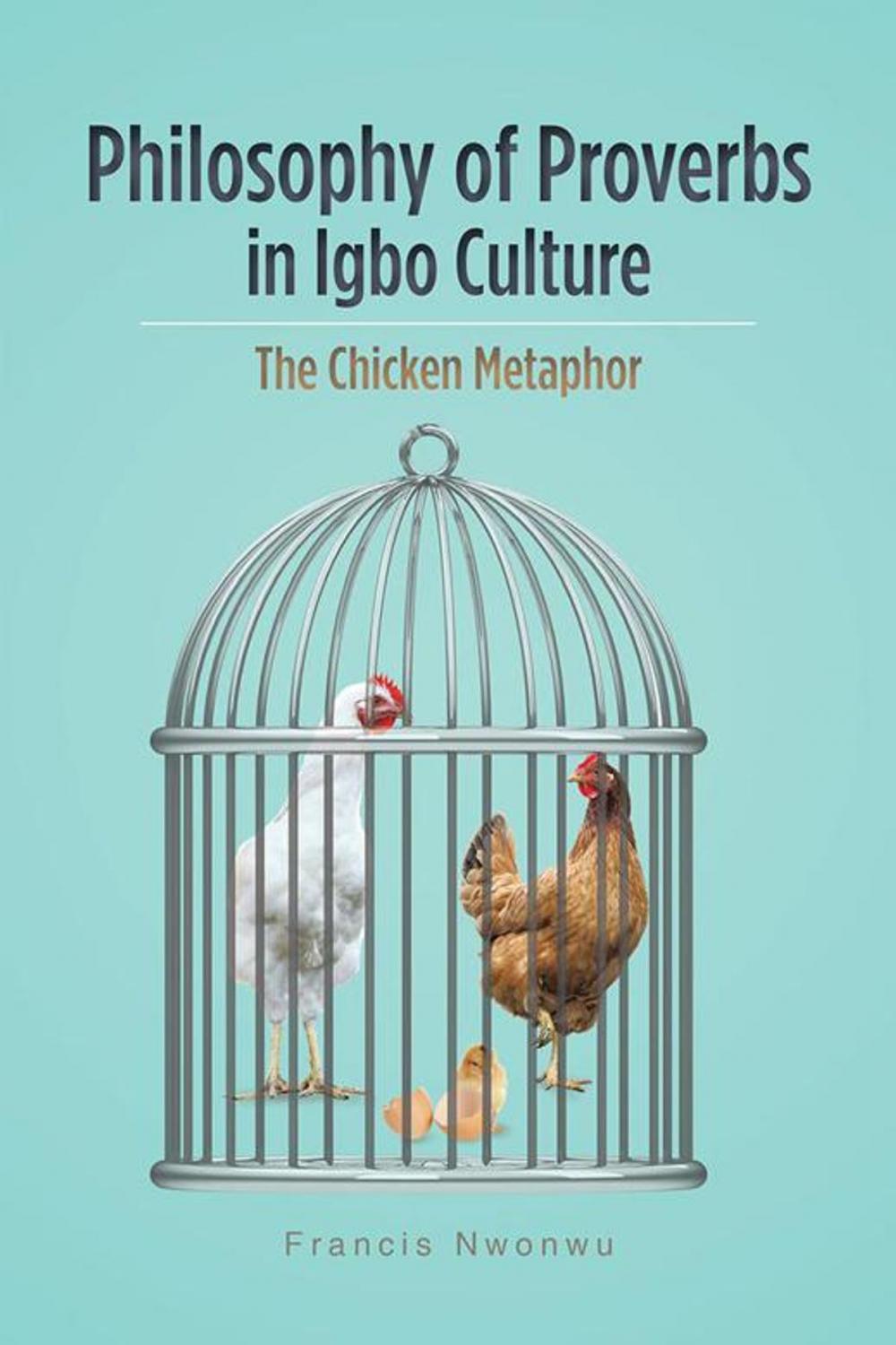 Big bigCover of Philosophy of Proverbs in Igbo Culture