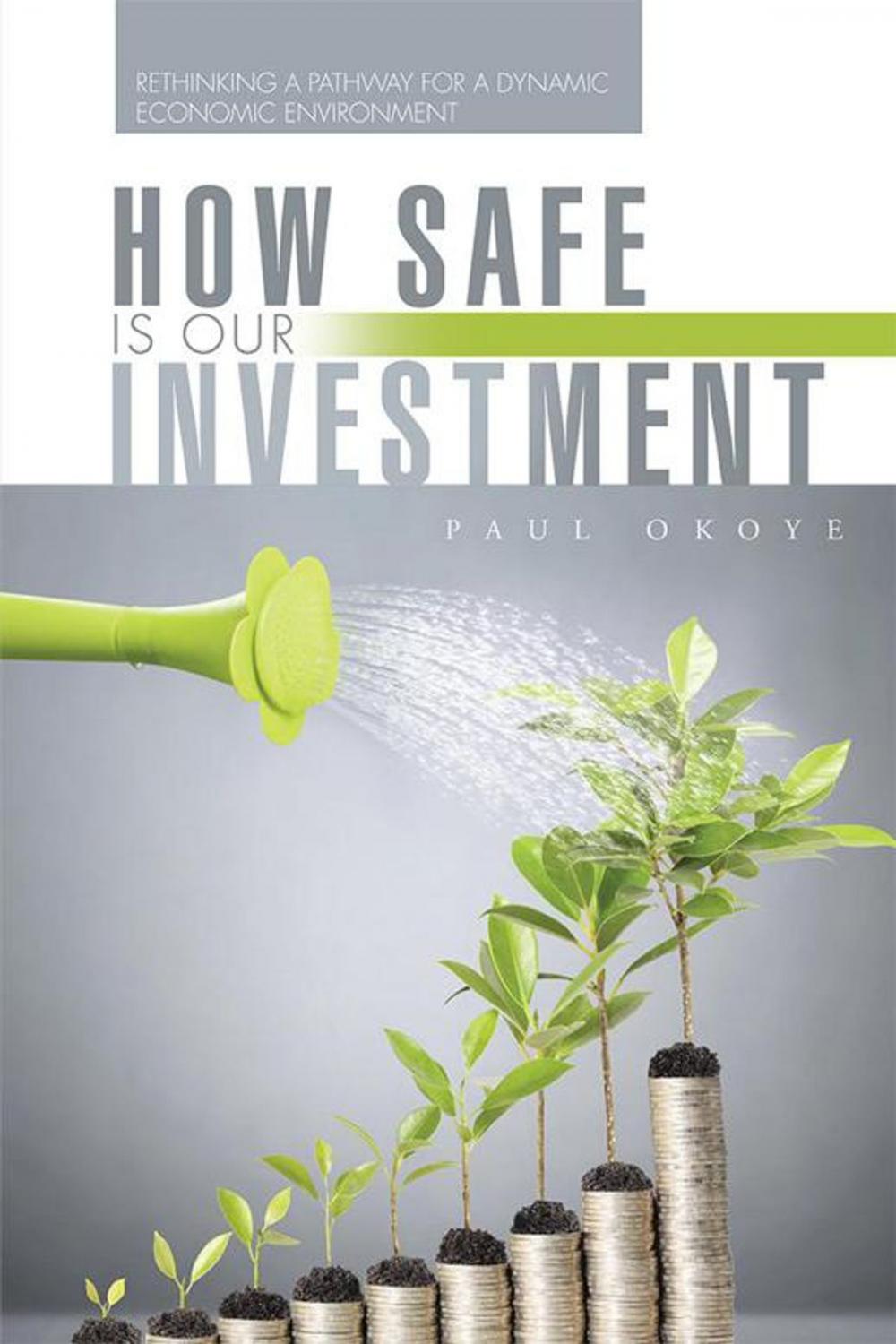 Big bigCover of How Safe Is Our Investment