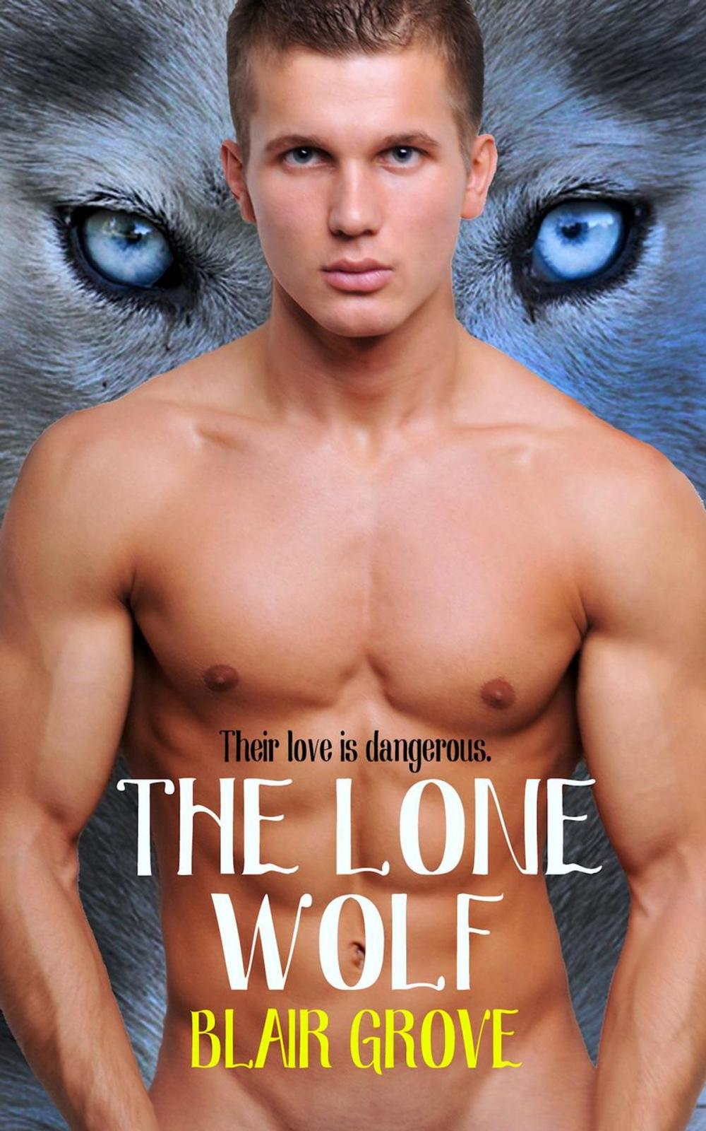 Big bigCover of The Lone Wolf