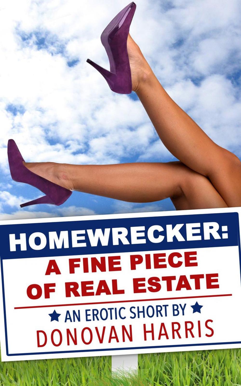 Big bigCover of Homewrecker: A Fine Piece of Real Estate (An Erotic Short)