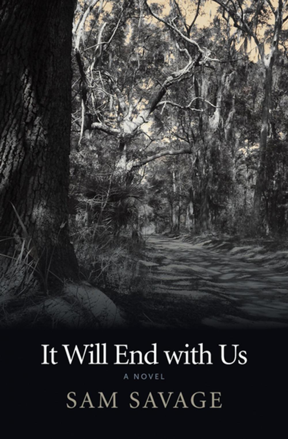 Big bigCover of It Will End with Us